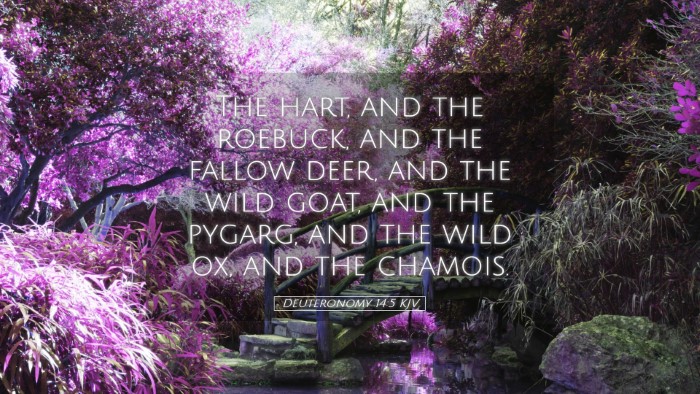 Picture 05 - Deuteronomy 14:5 KJV Desktop Wallpaper - The hart, and the roebuck, and the fallow deer, - Desktop Bible Verse Wallpaper