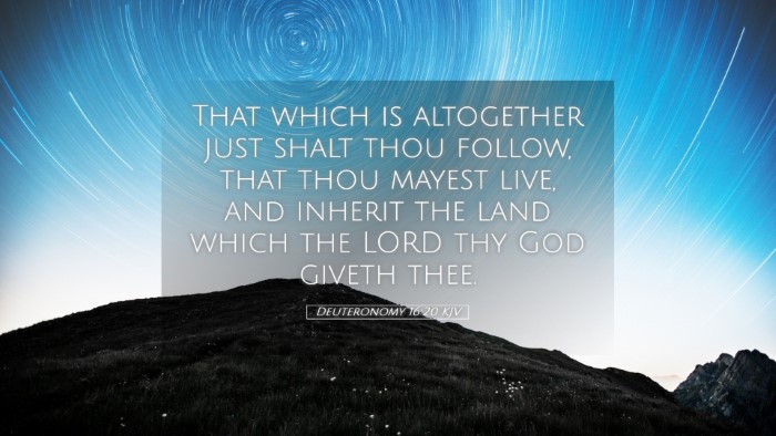 Picture 05 - Deuteronomy 16:20 KJV Desktop Wallpaper - That which is altogether just shalt thou follow, - Desktop Bible Verse Wallpaper