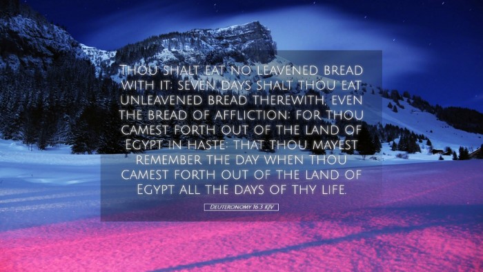 Picture 05 - Deuteronomy 16:3 KJV Desktop Wallpaper - Thou shalt eat no leavened bread with it; seven - Desktop Bible Verse Wallpaper