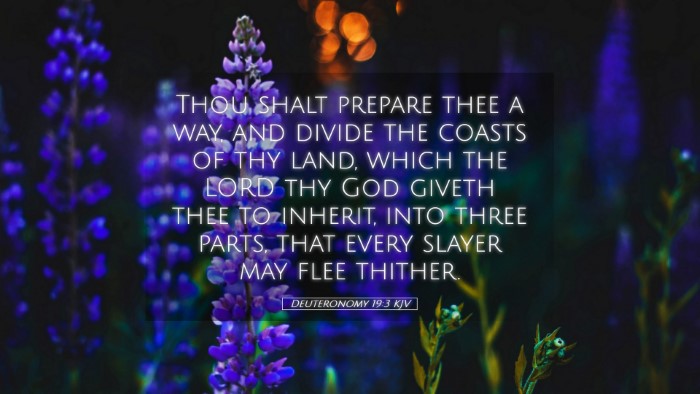 Picture 05 - Deuteronomy 19:3 KJV Desktop Wallpaper - Thou shalt prepare thee a way, and divide the - Desktop Bible Verse Wallpaper