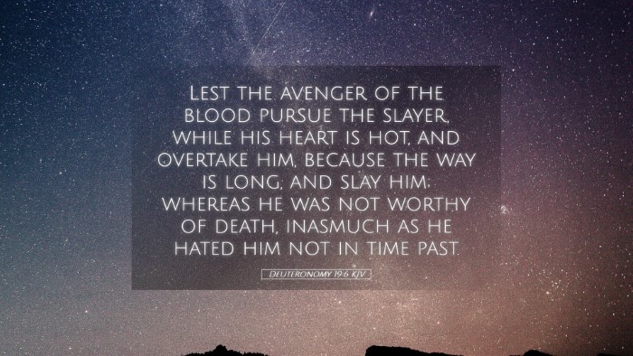 Picture 05 - Deuteronomy 19:6 KJV Desktop Wallpaper - Lest the avenger of the blood pursue the slayer, - Desktop Bible Verse Wallpaper
