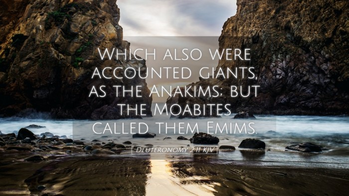 Picture 05 - Deuteronomy 2:11 KJV Desktop Wallpaper - Which also were accounted giants, as the Anakims; - Desktop Bible Verse Wallpaper