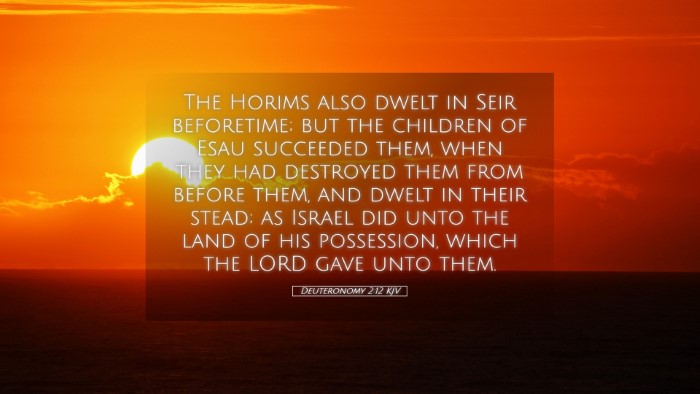 Picture 05 - Deuteronomy 2:12 KJV Desktop Wallpaper - The Horims also dwelt in Seir beforetime; but the - Desktop Bible Verse Wallpaper