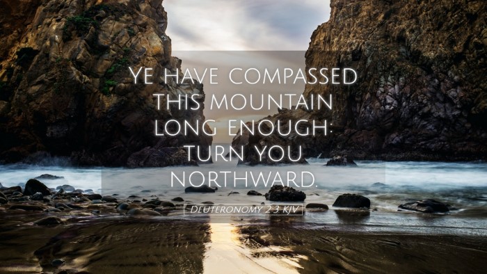 Picture 05 - Deuteronomy 2:3 KJV Desktop Wallpaper - Ye have compassed this mountain long enough: turn - Desktop Bible Verse Wallpaper