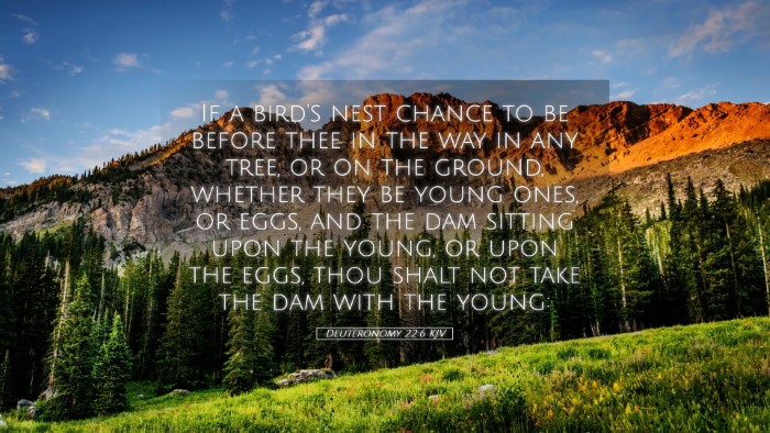Picture 05 - Deuteronomy 22:6 KJV Desktop Wallpaper - If a bird's nest chance to be before thee in the - Desktop Bible Verse Wallpaper