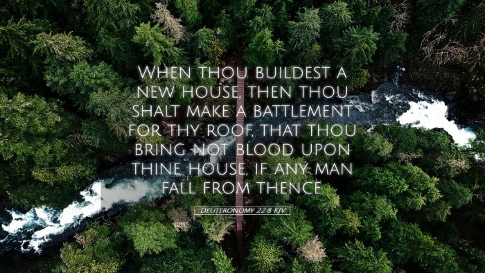 Picture 05 - Deuteronomy 22:8 KJV Desktop Wallpaper - When thou buildest a new house, then thou shalt - Desktop Bible Verse Wallpaper
