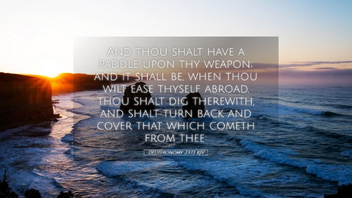 Picture 05 - Deuteronomy 23:13 KJV Desktop Wallpaper - And thou shalt have a paddle upon thy weapon; and - Desktop Bible Verse Wallpaper