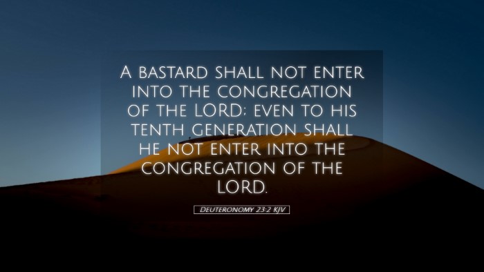 Picture 05 - Deuteronomy 23:2 KJV Desktop Wallpaper - A bastard shall not enter into the congregation - Desktop Bible Verse Wallpaper