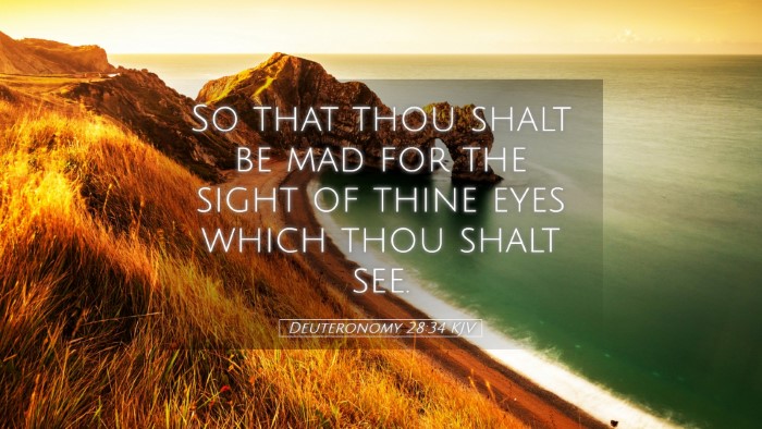 Picture 05 - Deuteronomy 28:34 KJV Desktop Wallpaper - So that thou shalt be mad for the sight of thine - Desktop Bible Verse Wallpaper