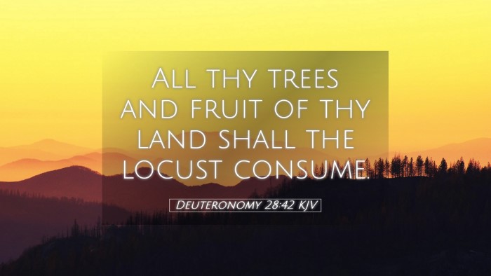 Picture 05 - Deuteronomy 28:42 KJV Desktop Wallpaper - All thy trees and fruit of thy land shall the - Desktop Bible Verse Wallpaper