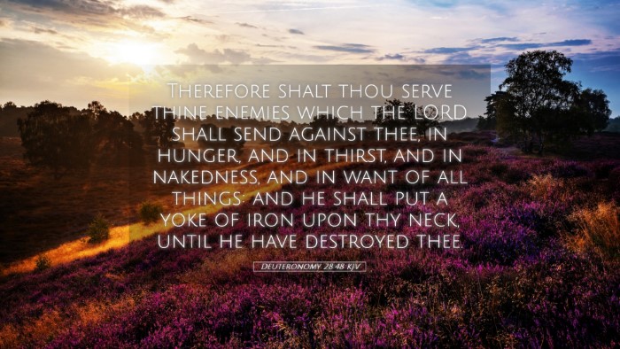 Picture 05 - Deuteronomy 28:48 KJV Desktop Wallpaper - Therefore shalt thou serve thine enemies which - Desktop Bible Verse Wallpaper