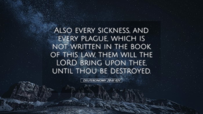 Picture 05 - Deuteronomy 28:61 KJV Desktop Wallpaper - Also every sickness, and every plague, which is - Desktop Bible Verse Wallpaper