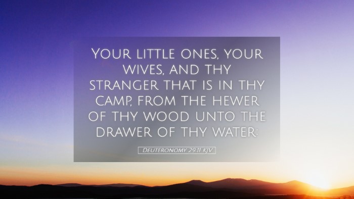 Picture 05 - Deuteronomy 29:11 KJV Desktop Wallpaper - Your little ones, your wives, and thy stranger - Desktop Bible Verse Wallpaper