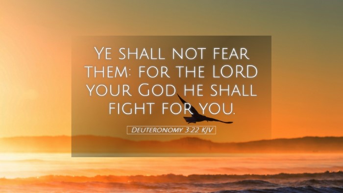 Picture 05 - Deuteronomy 3:22 KJV Desktop Wallpaper - Ye shall not fear them: for the LORD your God he - Desktop Bible Verse Wallpaper