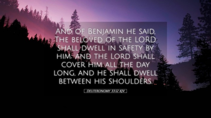Picture 05 - Deuteronomy 33:12 KJV Desktop Wallpaper - And of Benjamin he said, The beloved of the LORD - Desktop Bible Verse Wallpaper