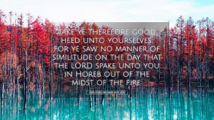 Picture 05 - Deuteronomy 4:15 KJV Desktop Wallpaper - Take ye therefore good heed unto yourselves; for - Desktop Bible Verse Wallpaper