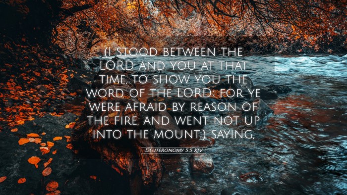 Picture 05 - Deuteronomy 5:5 KJV Desktop Wallpaper - (I stood between the LORD and you at that time, - Desktop Bible Verse Wallpaper
