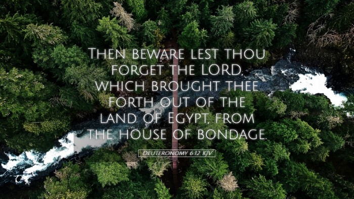 Picture 05 - Deuteronomy 6:12 KJV Desktop Wallpaper - Then beware lest thou forget the LORD, which - Desktop Bible Verse Wallpaper