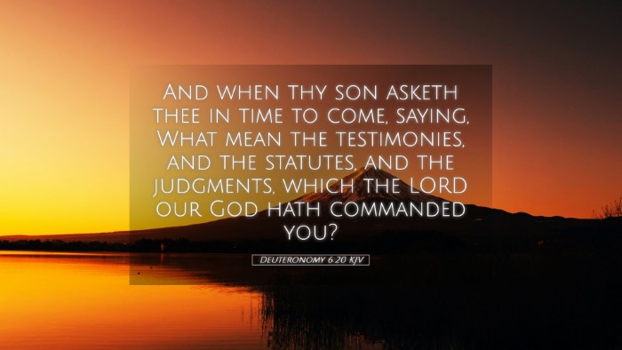 Picture 05 - Deuteronomy 6:20 KJV Desktop Wallpaper - And when thy son asketh thee in time to come, - Desktop Bible Verse Wallpaper