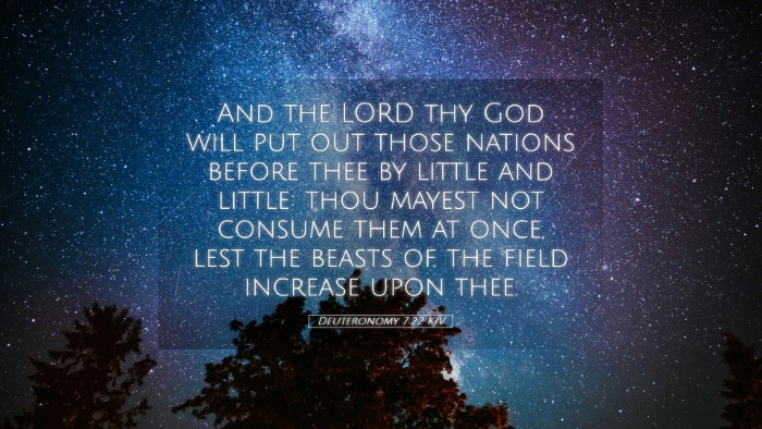 Picture 05 - Deuteronomy 7:22 KJV Desktop Wallpaper - And the LORD thy God will put out those nations - Desktop Bible Verse Wallpaper