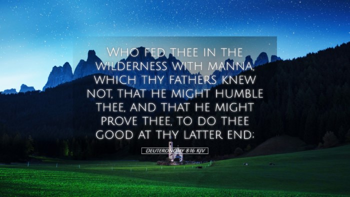Picture 05 - Deuteronomy 8:16 KJV Desktop Wallpaper - Who fed thee in the wilderness with manna, which - Desktop Bible Verse Wallpaper