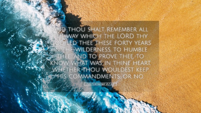 Picture 05 - Deuteronomy 8:2 KJV Desktop Wallpaper - And thou shalt remember all the way which the - Desktop Bible Verse Wallpaper