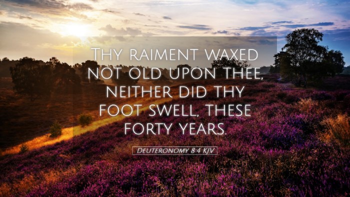 Picture 05 - Deuteronomy 8:4 KJV Desktop Wallpaper - Thy raiment waxed not old upon thee, neither did - Desktop Bible Verse Wallpaper