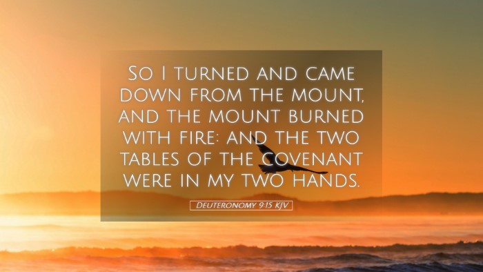Picture 05 - Deuteronomy 9:15 KJV Desktop Wallpaper - So I turned and came down from the mount, and the - Desktop Bible Verse Wallpaper