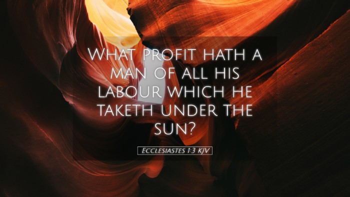 Picture 05 - Ecclesiastes 1:3 KJV Desktop Wallpaper - What profit hath a man of all his labour which he - Desktop Bible Verse Wallpaper