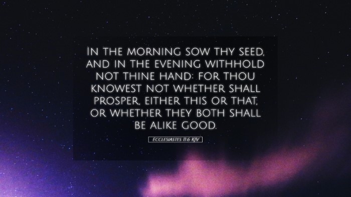 Picture 05 - Ecclesiastes 11:6 KJV Desktop Wallpaper - In the morning sow thy seed, and in the evening - Desktop Bible Verse Wallpaper