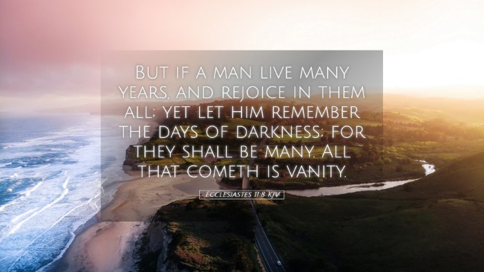 Picture 05 - Ecclesiastes 11:8 KJV Desktop Wallpaper - But if a man live many years, and rejoice in them - Desktop Bible Verse Wallpaper
