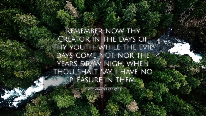 Picture 05 - Ecclesiastes 12:1 KJV Desktop Wallpaper - Remember now thy Creator in the days of thy - Desktop Bible Verse Wallpaper