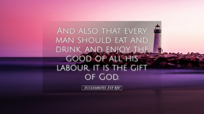 Picture 05 - Ecclesiastes 3:13 KJV Desktop Wallpaper - And also that every man should eat and drink, and - Desktop Bible Verse Wallpaper