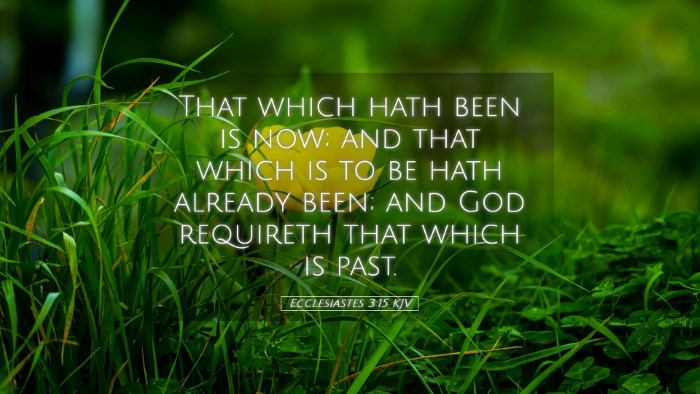 Picture 05 - Ecclesiastes 3:15 KJV Desktop Wallpaper - That which hath been is now; and that which is to - Desktop Bible Verse Wallpaper
