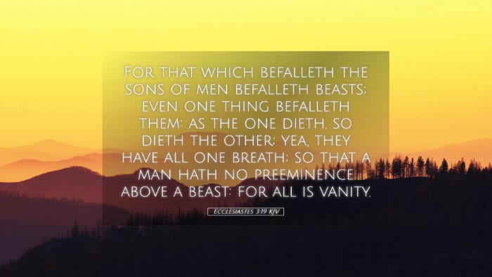 Picture 05 - Ecclesiastes 3:19 KJV Desktop Wallpaper - For that which befalleth the sons of men - Desktop Bible Verse Wallpaper