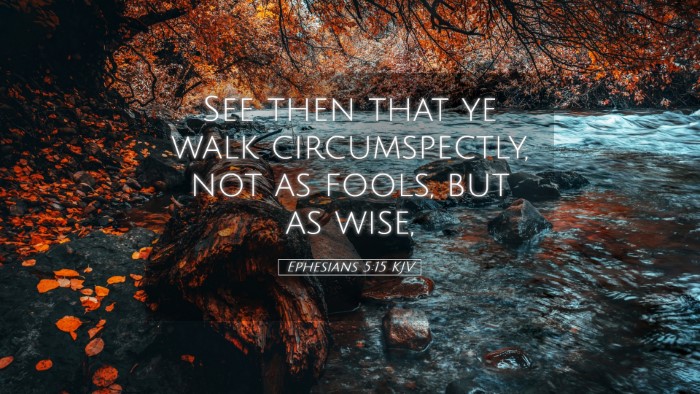 Picture 05 - Ephesians 5:15 KJV Desktop Wallpaper - See then that ye walk circumspectly, not as - Desktop Bible Verse Wallpaper
