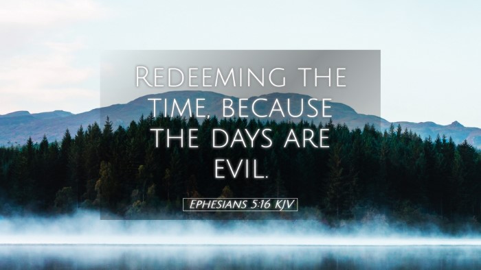 Picture 05 - Ephesians 5:16 KJV Desktop Wallpaper - Redeeming the time, because the days are - Desktop Bible Verse Wallpaper