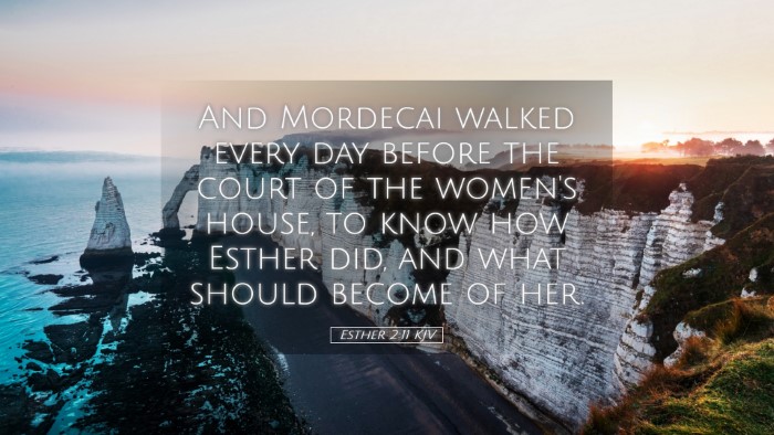 Picture 05 - Esther 2:11 KJV Desktop Wallpaper - And Mordecai walked every day before the court of - Desktop Bible Verse Wallpaper
