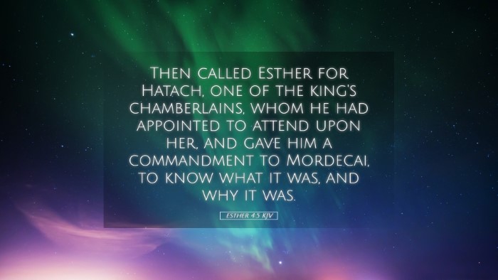 Picture 05 - Esther 4:5 KJV Desktop Wallpaper - Then called Esther for Hatach, one of the king's - Desktop Bible Verse Wallpaper