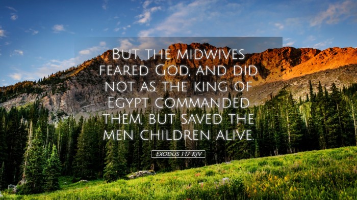 Picture 05 - Exodus 1:17 KJV Desktop Wallpaper - But the midwives feared God, and did not as the - Desktop Bible Verse Wallpaper