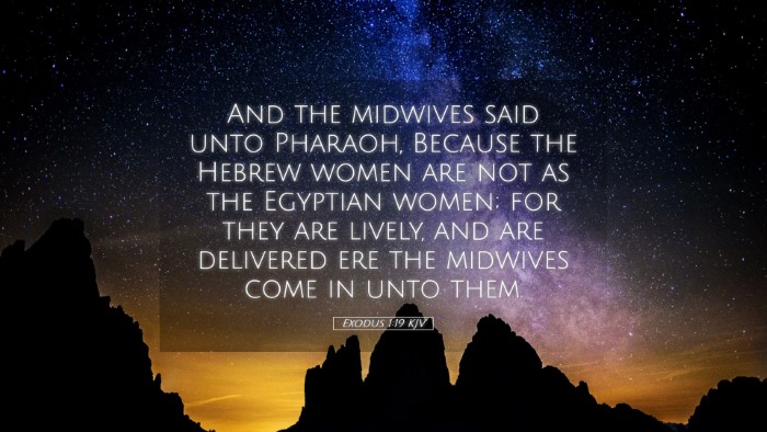 Picture 05 - Exodus 1:19 KJV Desktop Wallpaper - And the midwives said unto Pharaoh, Because the - Desktop Bible Verse Wallpaper