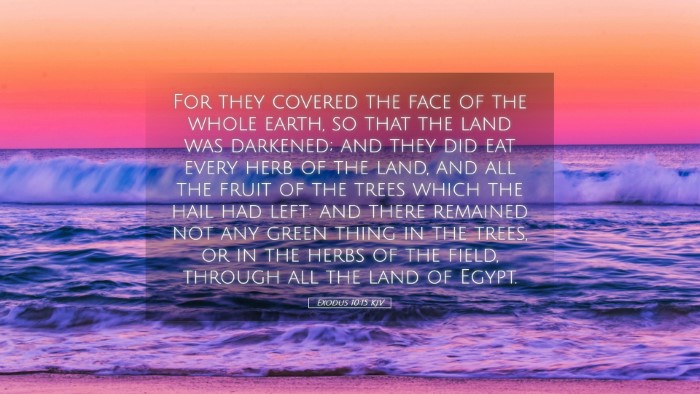 Picture 05 - Exodus 10:15 KJV Desktop Wallpaper - For they covered the face of the whole earth, so - Desktop Bible Verse Wallpaper