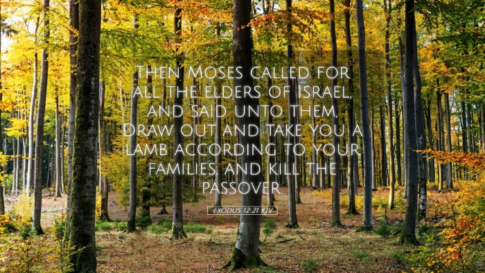 Picture 05 - Exodus 12:21 KJV Desktop Wallpaper - Then Moses called for all the elders of Israel, - Desktop Bible Verse Wallpaper