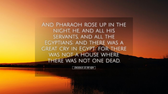 Picture 05 - Exodus 12:30 KJV Desktop Wallpaper - And Pharaoh rose up in the night, he, and all his - Desktop Bible Verse Wallpaper