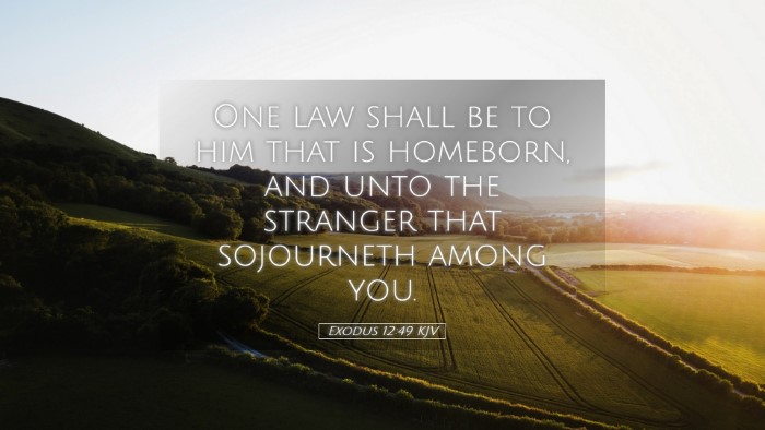 Picture 05 - Exodus 12:49 KJV Desktop Wallpaper - One law shall be to him that is homeborn, and - Desktop Bible Verse Wallpaper