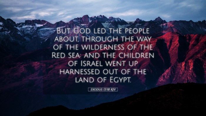 Picture 05 - Exodus 13:18 KJV Desktop Wallpaper - But God led the people about, through the way of - Desktop Bible Verse Wallpaper