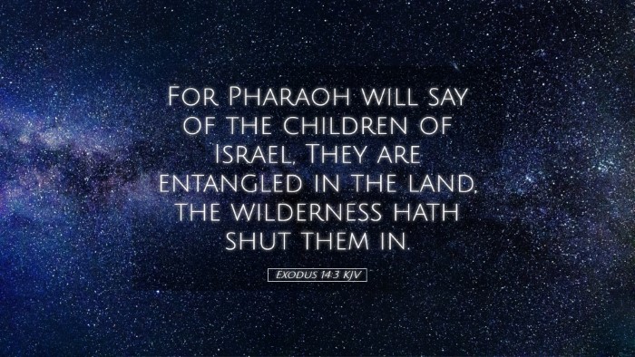 Picture 05 - Exodus 14:3 KJV Desktop Wallpaper - For Pharaoh will say of the children of Israel, - Desktop Bible Verse Wallpaper