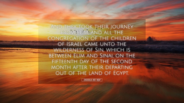 Picture 05 - Exodus 16:1 KJV Desktop Wallpaper - And they took their journey from Elim, and all - Desktop Bible Verse Wallpaper