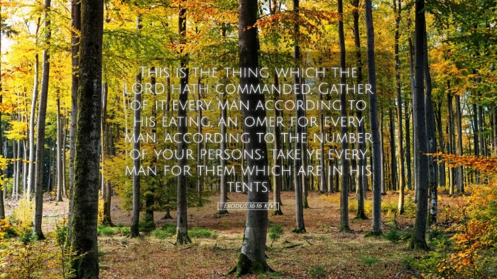 Picture 05 - Exodus 16:16 KJV Desktop Wallpaper - This is the thing which the LORD hath commanded, - Desktop Bible Verse Wallpaper