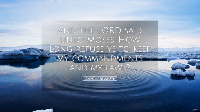 Picture 05 - Exodus 16:28 KJV Desktop Wallpaper - And the LORD said unto Moses, How long refuse ye - Desktop Bible Verse Wallpaper